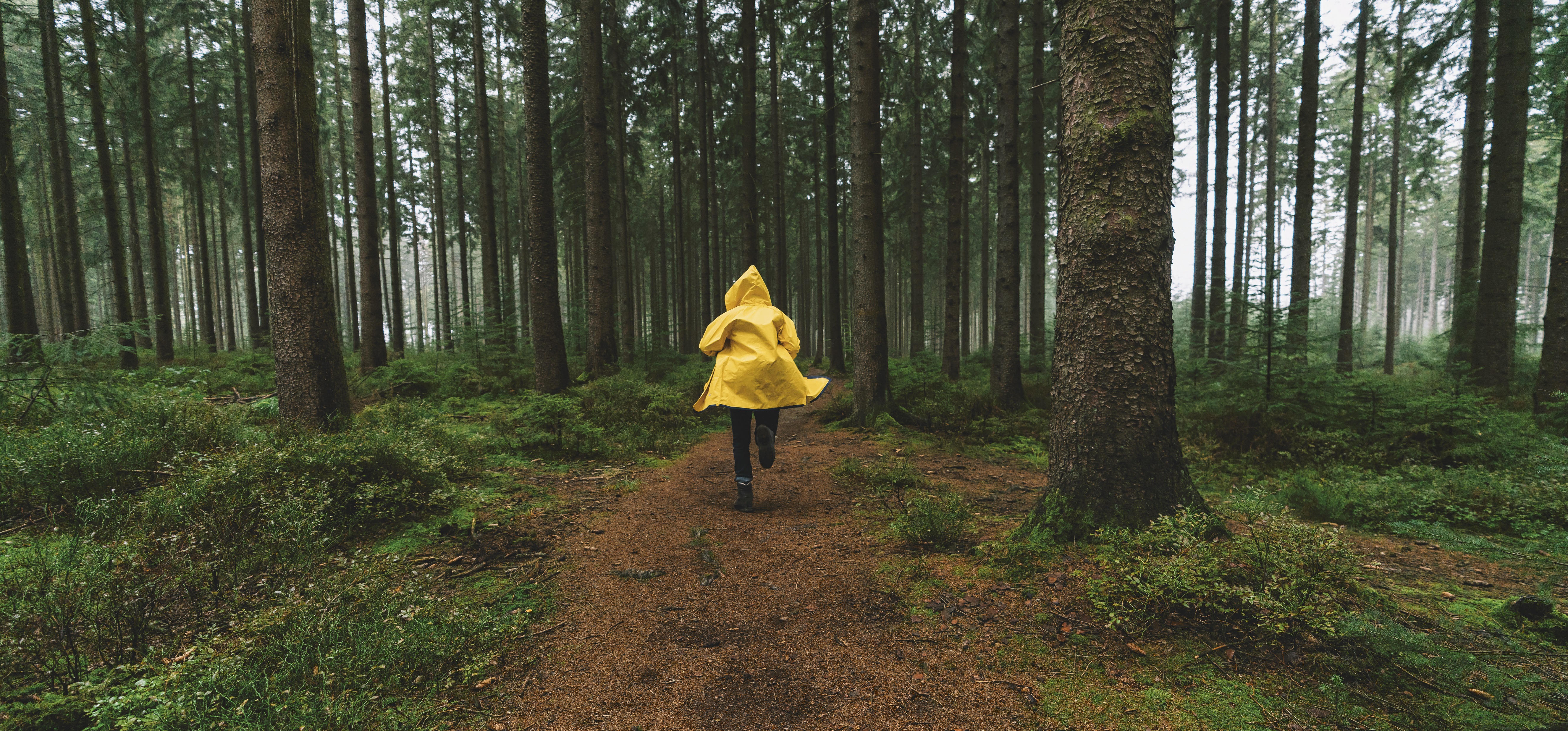 Un personnage, de dos, vêtu d'un ciré jaune court dans la forêt. Crédits photo: shutterstock