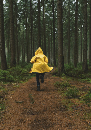 Un personnage, de dos, vêtu d'un ciré jaune court dans la forêt. Crédits photo: shutterstock