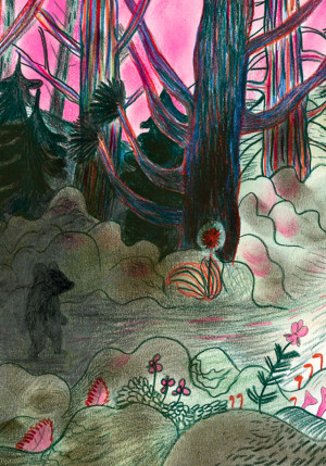Illustration de Kitty Crowther. L'illustration représente une forêt très sombre. Un ours en jupe et un ourson se dirigent vers une hutte au fond de cette forêt. Le ciel est étrangement rose.